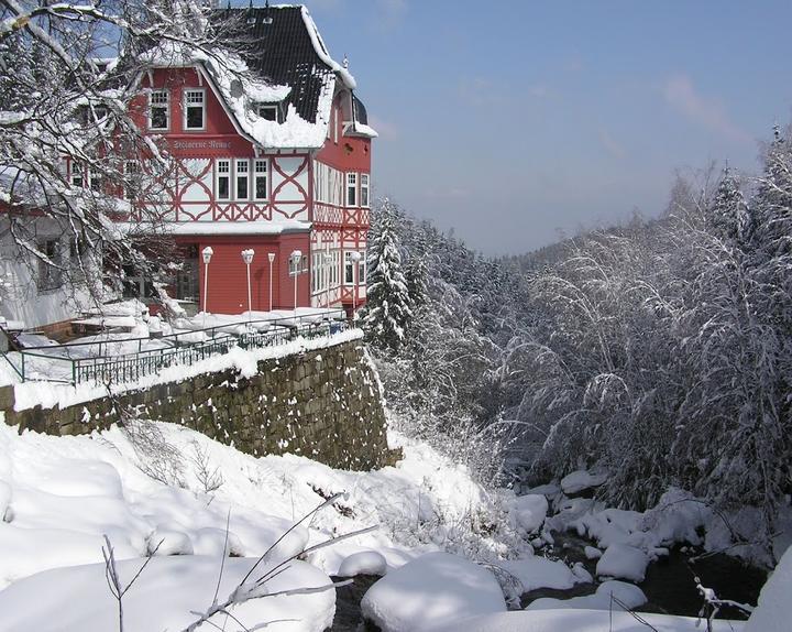 Waldgasthaus und Hotel Steinerne Renne