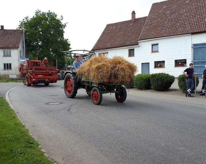 Sulminger Lamm