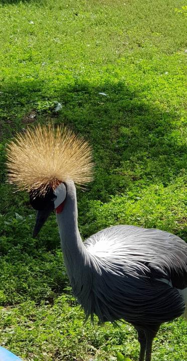 Gaststaette Zum Vogelpark